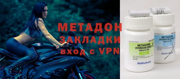 прущие грибы Балабаново