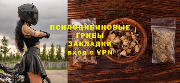 прущие грибы Балабаново