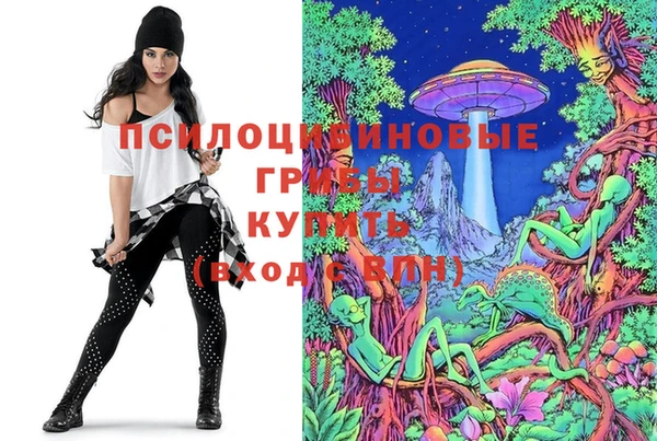 мяу мяу мука Баксан