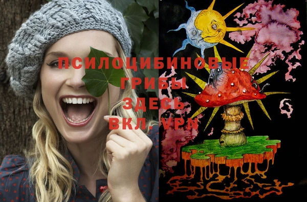 прущие грибы Балабаново