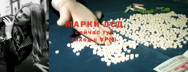 прущие грибы Балабаново
