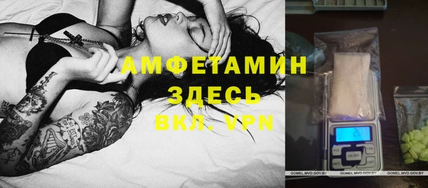 прущие грибы Балабаново