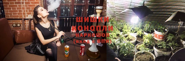 прущие грибы Балабаново