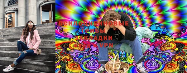 мяу мяу мука Баксан