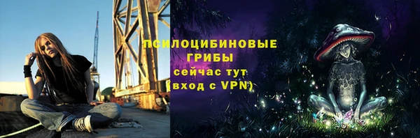 прущие грибы Балабаново