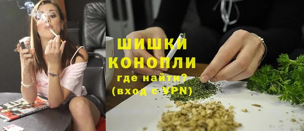 прущие грибы Балабаново