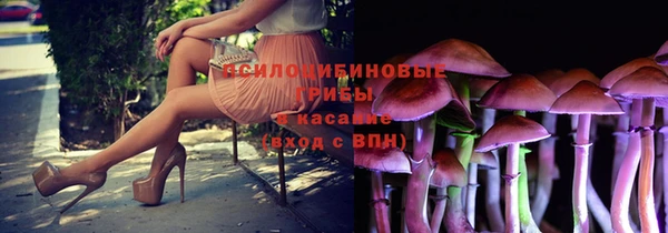 прущие грибы Балабаново